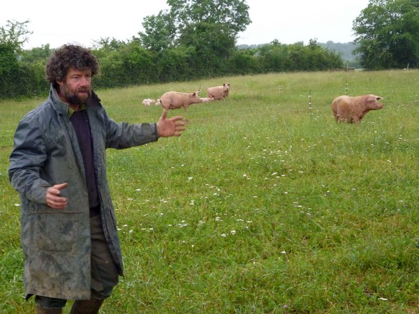 Hugues MOLLY - éleveur de porc et boeuf Hugues MOLLY - éleveur de porc et boeuf