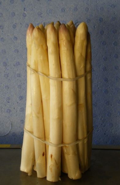 L'Asperge de Travers