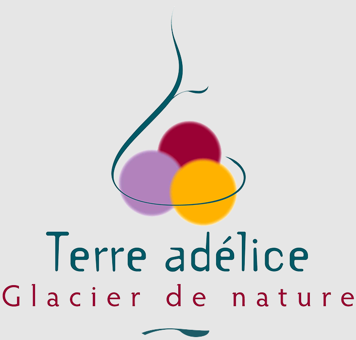 Les Glaces Terre Adélice