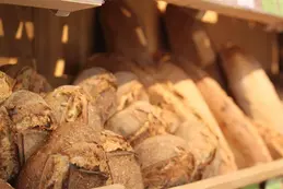 218-biocoop-chambery-faubourg-mache-magasin-alimentation-bio-pain-frais-local-saison.webp